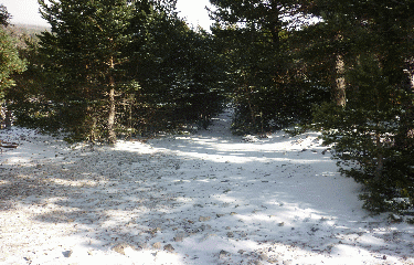 Flan sud du ventoux -vaucluse