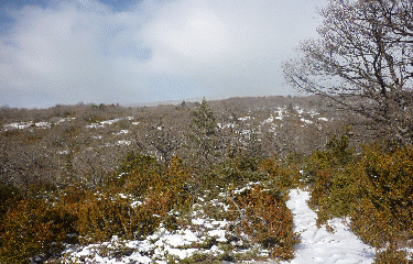 Flan sud du ventoux -vaucluse