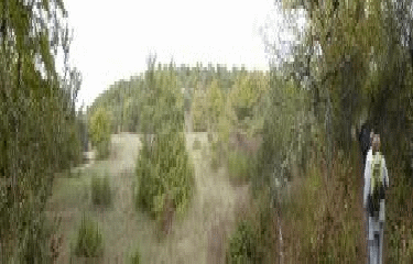 LA CREMADE - ST GENS-vaucluse