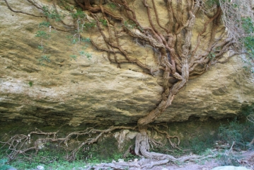FORT DE BUOUX - VALLON DE SERRE - SIVERGUES ET AIGUE BRUN-vaucluse