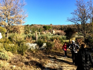 SAUMANE - CIRCUIT DE MARCULY-vaucluse