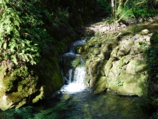 EN SUIVANT L AIGUE BRUN AVEC UN PASSAGE A SIVERGUES-vaucluse