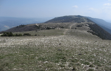 LE MOURRE NEGRE-vaucluse