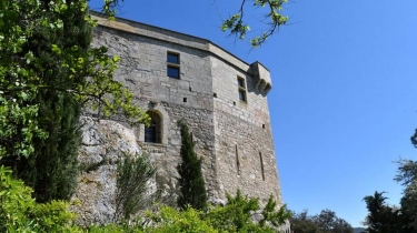 LE BOIS SAUVAGE-vaucluse