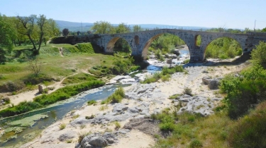 LE BOIS SAUVAGE-vaucluse