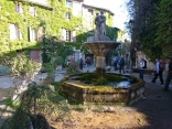 SAIGNON - FRINGANTS-vaucluse