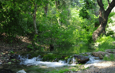 DE MERINDOL AUX MAYORQUES-vaucluse