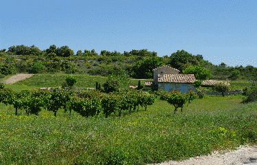 3 JOURS A PARTIR DE LOURMARIN-vaucluse