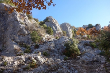 VENASQUE - LE GROS CHENE - COMBE DU DIABLE-vaucluse