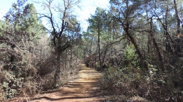 LES CARRIERES D OCRE DE MORMOIRON-vaucluse