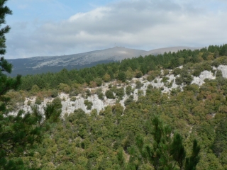 LA CHAPELLE SAINT JEAN A FLASSAN-vaucluse