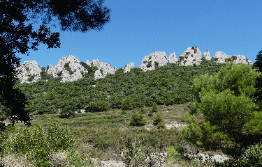 BEAUME DE VENISE-vaucluse