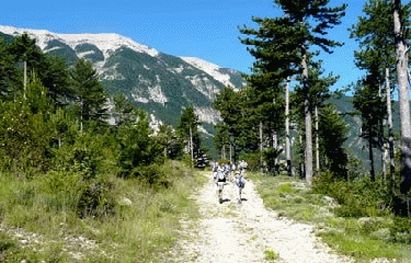 TETE DE LA GRAVE-vaucluse