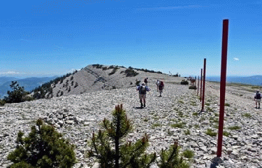 TETE DE LA GRAVE-vaucluse