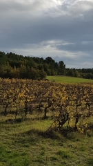 LES OCRES DE ROUSSILLON - LES MADONS-vaucluse