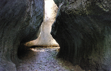 LE TOUR DES JAS-vaucluse