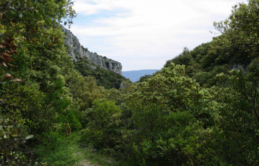 Les Combes de Vaumale et de Lioux-vaucluse