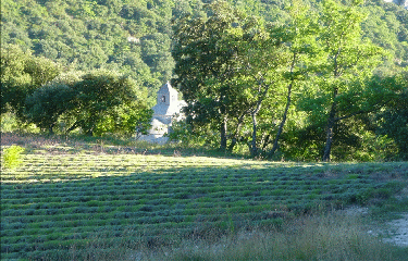 ABBAYE DE SENANQUE-vaucluse