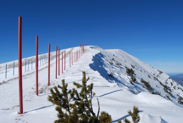 LE VENTOUX PAR LES JAS EN RAQUETTE A NEIGE-vaucluse
