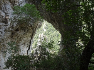 ARCHE DE L AIGUILLE DU VALLON DE L ARC - ROQUE DES BANCS-vaucluse