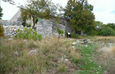 SAINT-HUBERT (2)-vaucluse