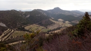 LES DENTELLES SARRASINES DANS LE VAUCLUSE-vaucluse