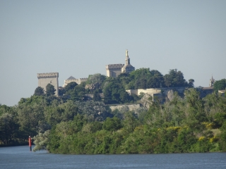 LA BARTHELASSE - ILE DES PAPES - PARC DES LIBERTES-vaucluse