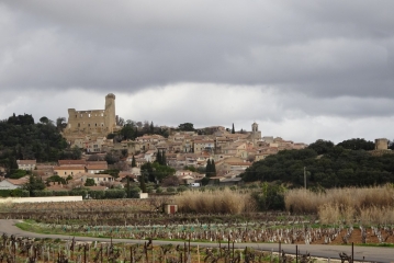 CHATEAUNEUF-DU-PAPE - LES VIGNOBLES ET L ETANG-vaucluse