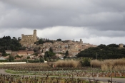 CHATEAUNEUF-DU-PAPE - LES VIGNOBLES ET L ETANG-vaucluse