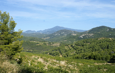 BAUMES DE VENISE (2)-vaucluse