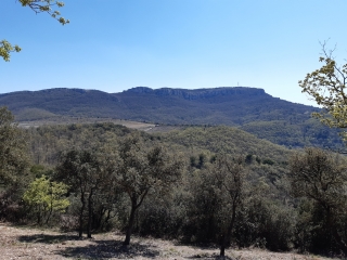 LE CRESTET - MONT BAYON-vaucluse