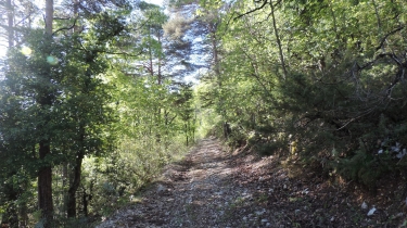 DE ST LEGER-DU-VENTOUX AU MONT SEREIN-vaucluse