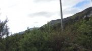 DE BRANTES LES BERNARD AU GR9 ET RETOUR PAR LESTELLIER-vaucluse