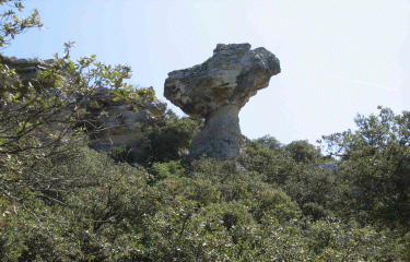 Fontaine-de-Vaucluse-vaucluse