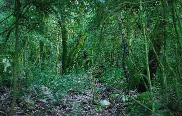 A PARTIR DE MAUBEC-vaucluse