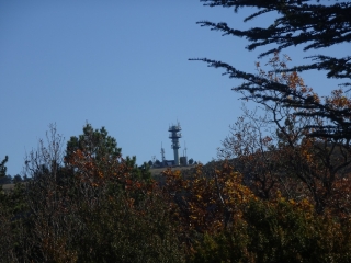 SAIGNON - CRETES DU GRAND LUBERON-vaucluse