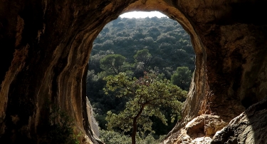 LES GORGES DE BADAREL ET LES ROCHERS DE BAUDE-vaucluse