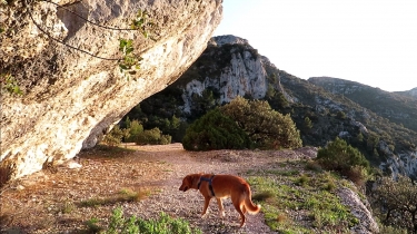 LES GORGES DE BADAREL ET LES ROCHERS DE BAUDE-vaucluse