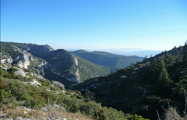 ROQUE DES BANCS-vaucluse