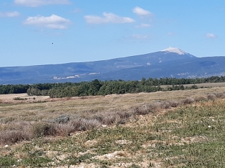 SAINT TRINIT - LA FEMME MORTE-vaucluse