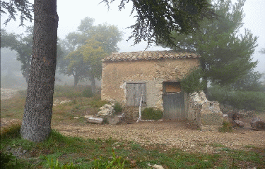 CHEVAL-BLANC-vaucluse