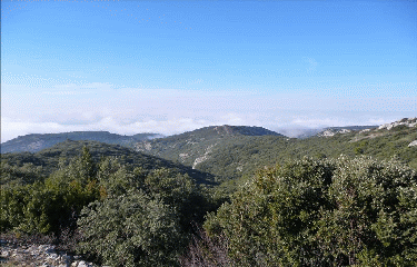 CHEVAL-BLANC-vaucluse