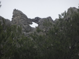 VALLON ET TETE DES BOUISSES PAR LE  TROU DU RAT -vaucluse