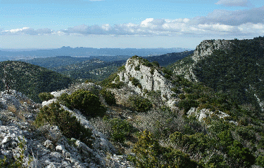 LA ROQUE DES BANCS-vaucluse