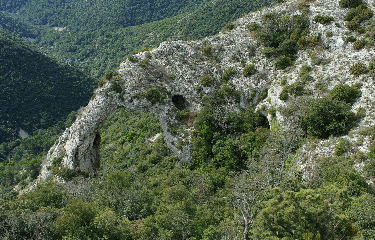 LA ROQUE DES BANCS-vaucluse