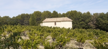 BUISSON -VILLEDIEU-vaucluse