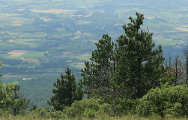 GR92 APT - CABRIERES-D-AIGUES-vaucluse