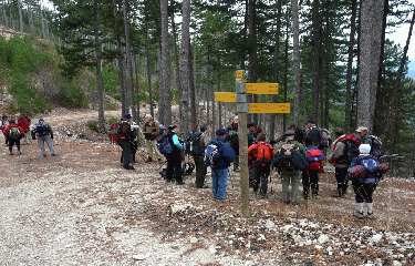 BRANTES - CHANTE LOUBE-vaucluse