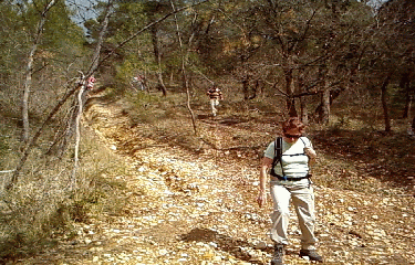 BOIS DES ABRIGEAUX-vaucluse