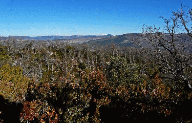 CRETES DE BLUYE-vaucluse